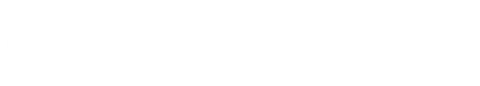 Logo Neco Moto