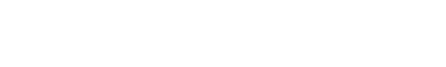 Logo SWM Motorcycles