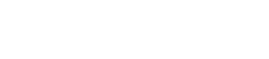 Logo TNT Motor
